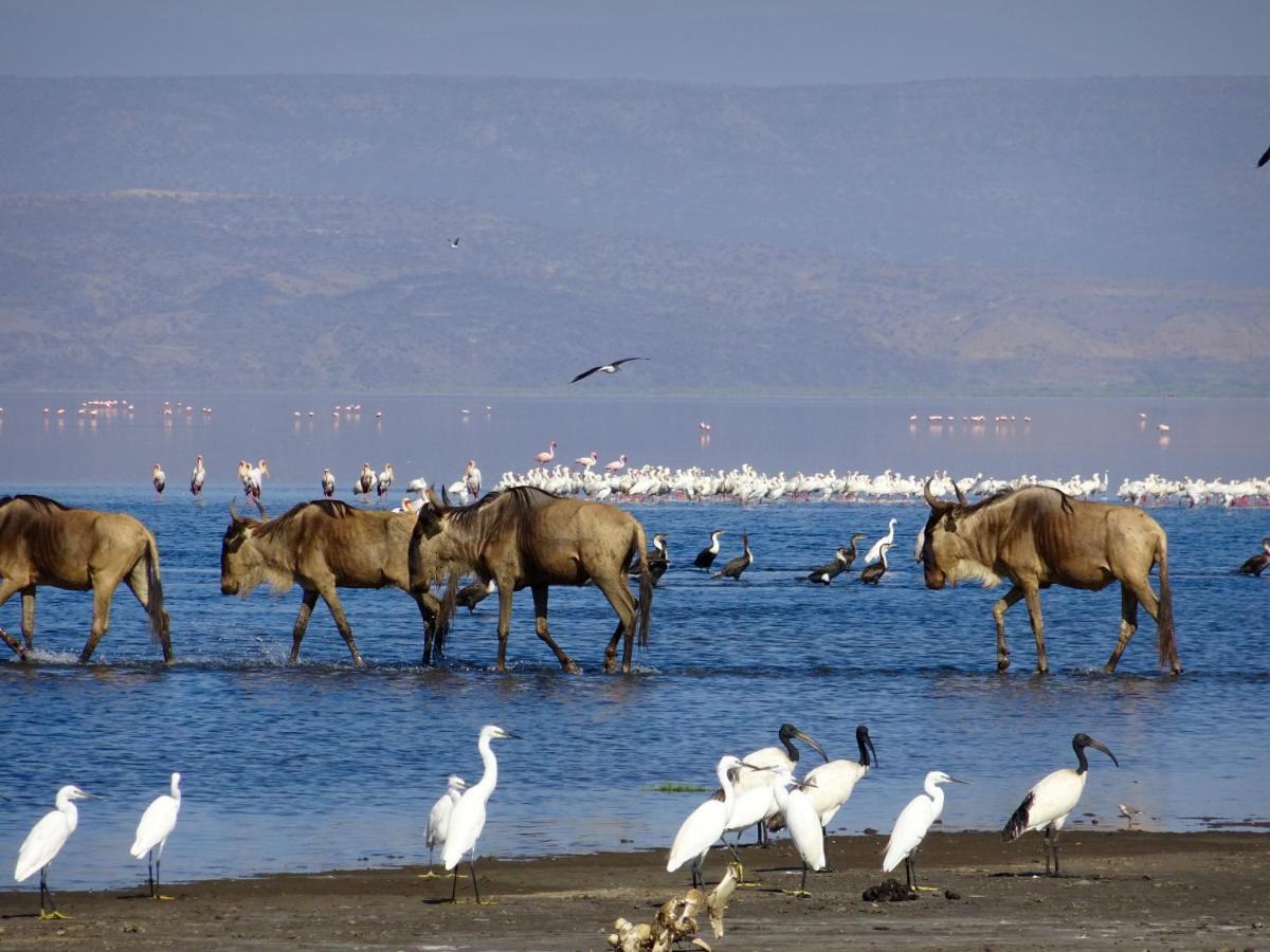 Africa Safari Lake Natron Mtowabaga ภายนอก รูปภาพ
