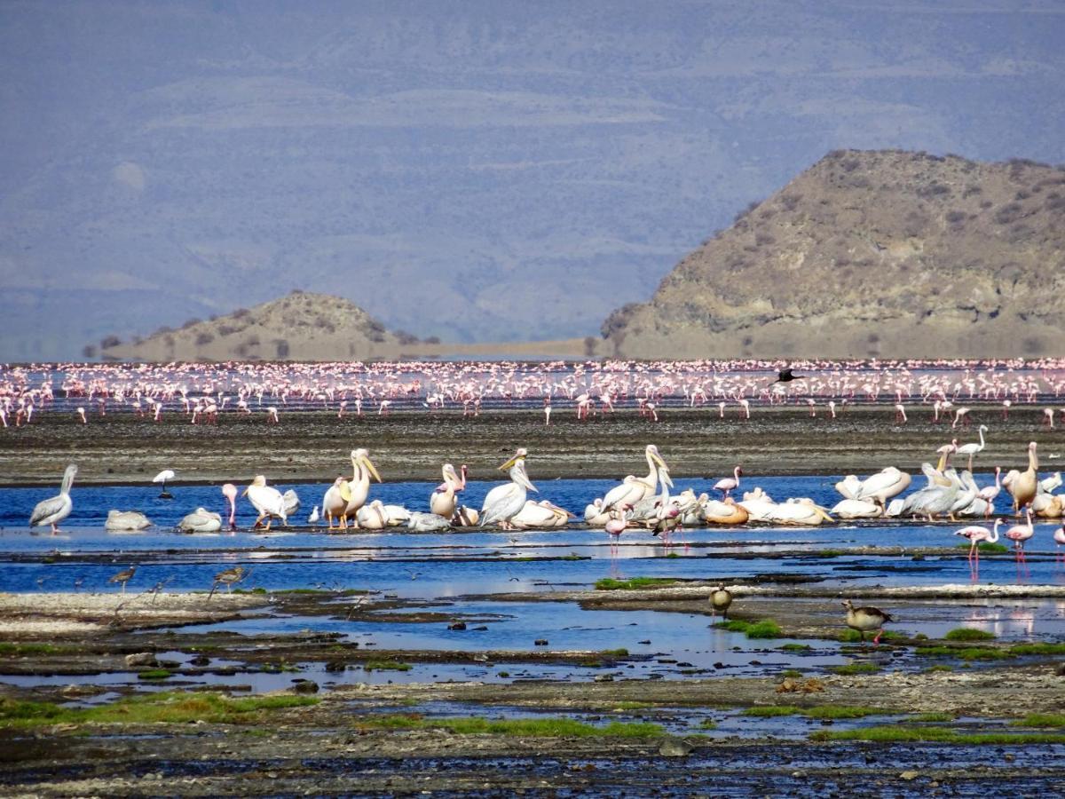 Africa Safari Lake Natron Mtowabaga ภายนอก รูปภาพ